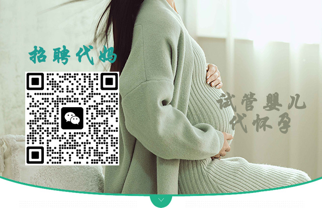 广州代妈banner