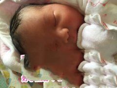 回国后选择了远播优育 一次成功绝对没让z先生失望