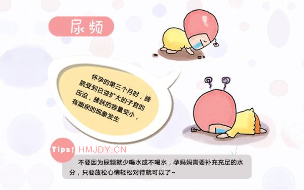 怀孕初期的症状:尿频